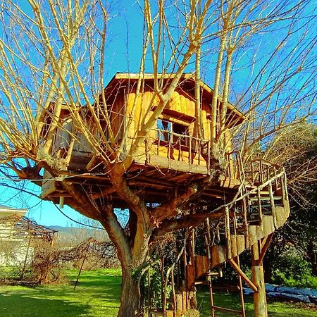 Το Πέτρινο Σπιτάκι Apartment Tríkala Екстериор снимка