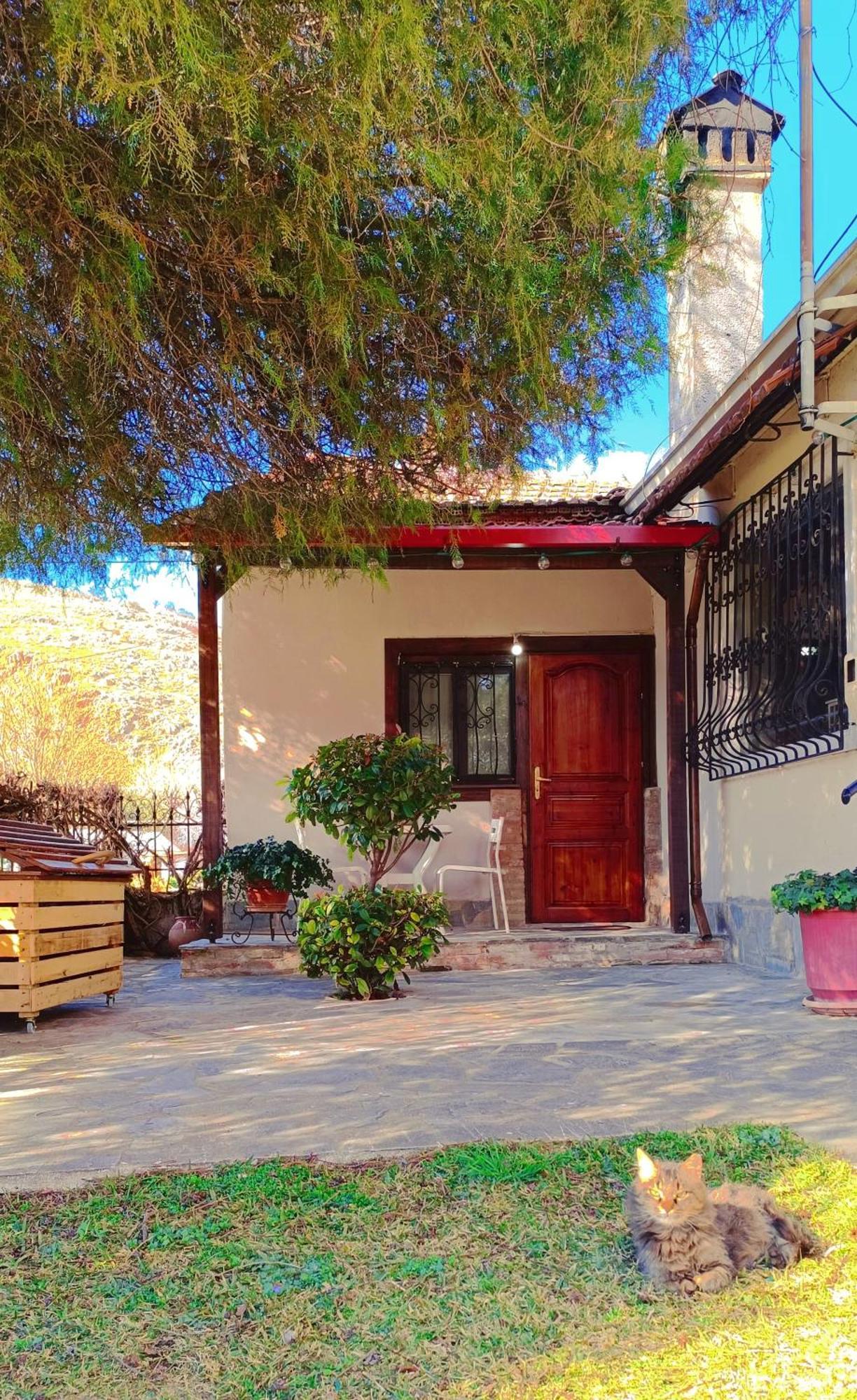 Το Πέτρινο Σπιτάκι Apartment Tríkala Екстериор снимка